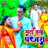 About Sata Jani Pajara Song